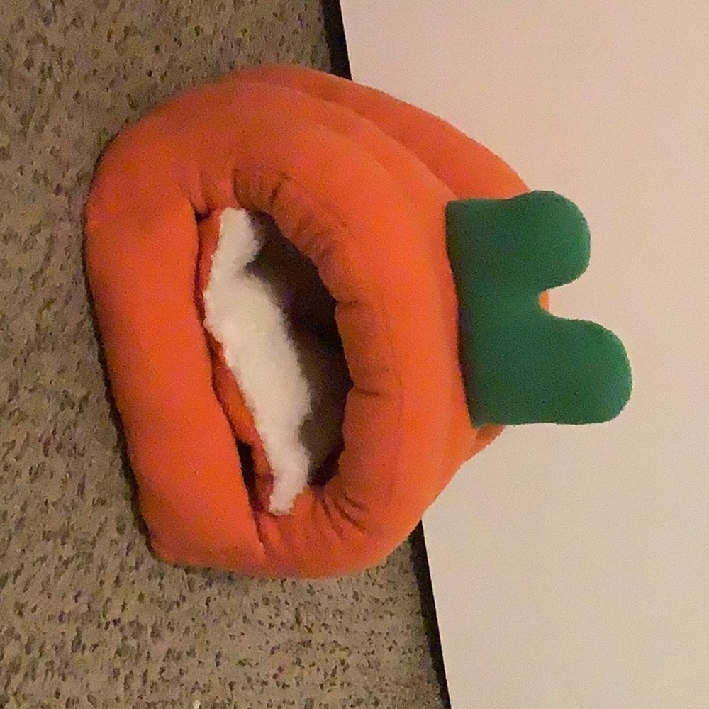 I’m selling this cause it got to small for my bunny!